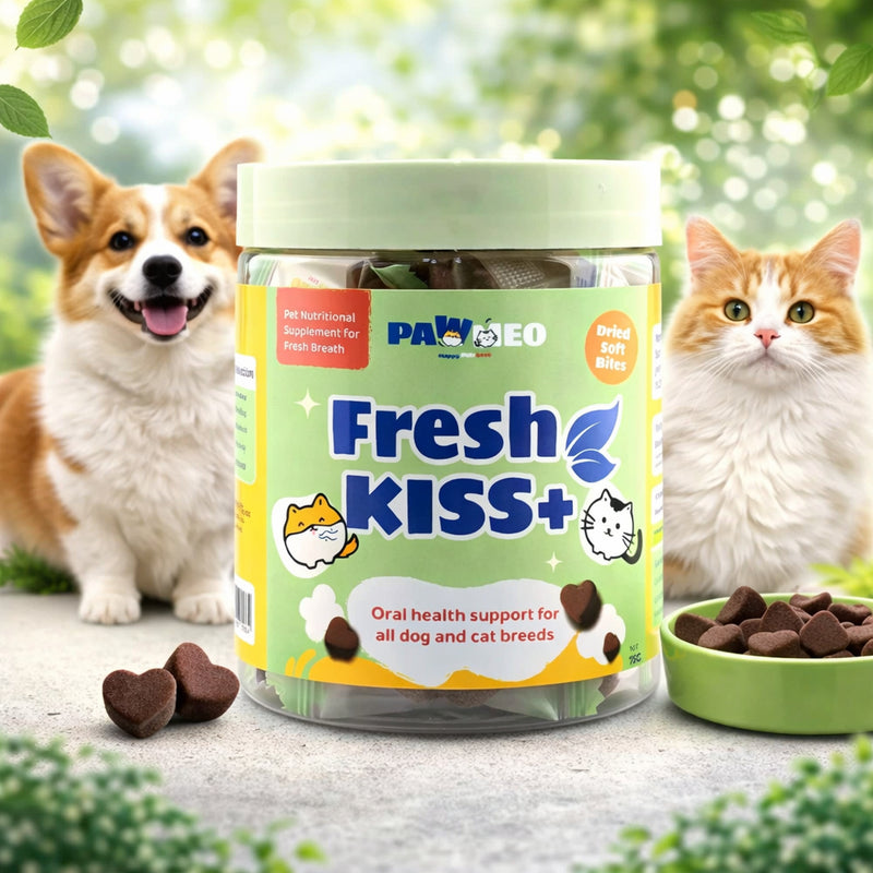PAWMEO FRSH KISS+ DRIED SOFT BITES