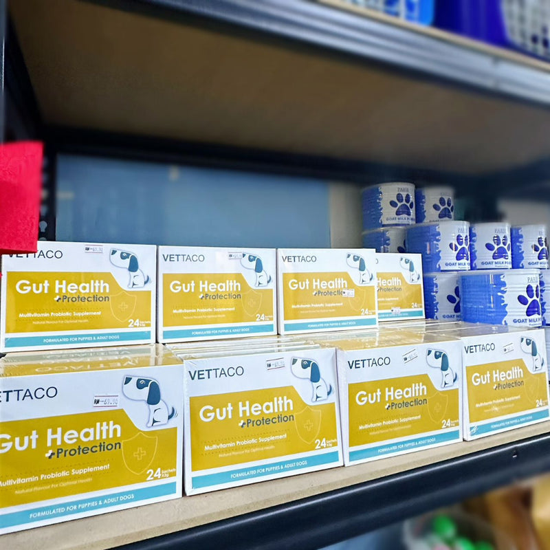 VETTACO Probiotic + Multivitamins (24 sachets)